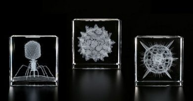 Хрустальные кубы с 3D лазерным изображением микроорганизмов Sola Cube Micro