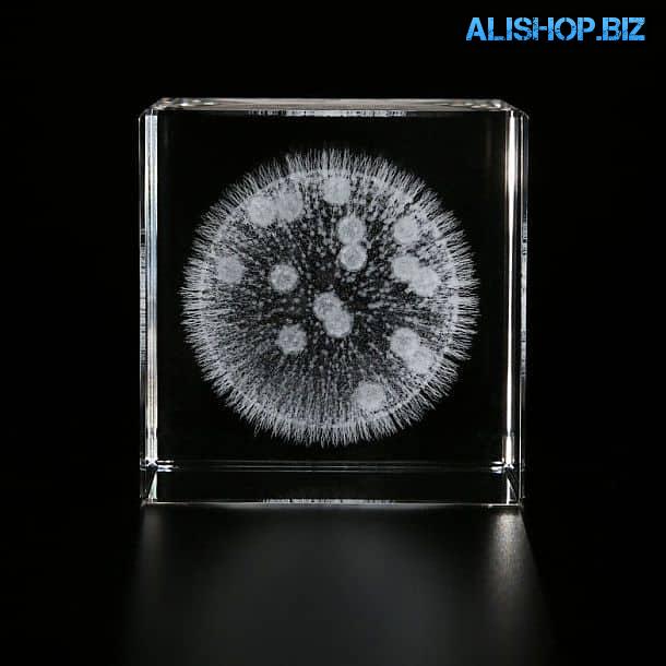 Хрустальные кубы с 3D лазерным изображением микроорганизмов Sola Cube Micro