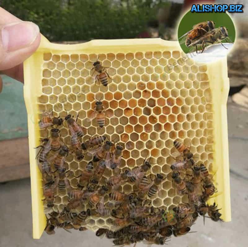 The foam hive Benefitbee