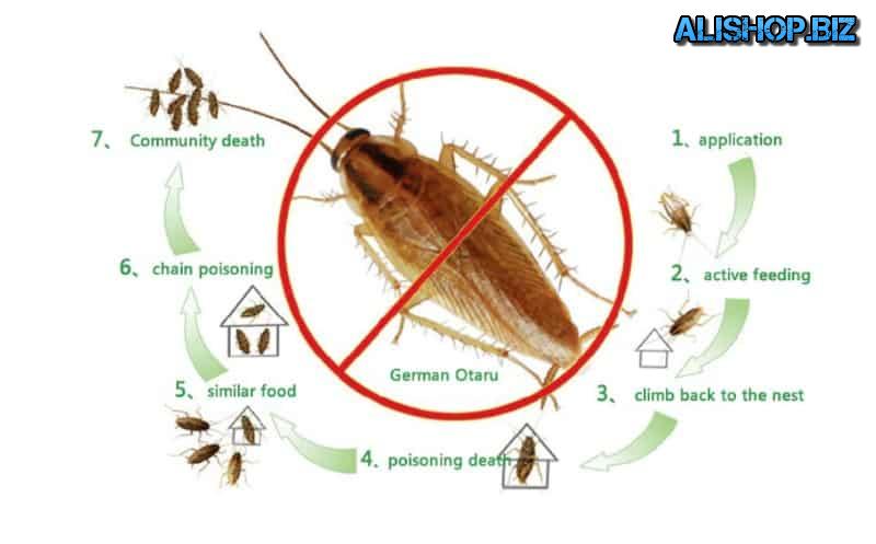 Порошок цепного действия для борьбы с тараканами