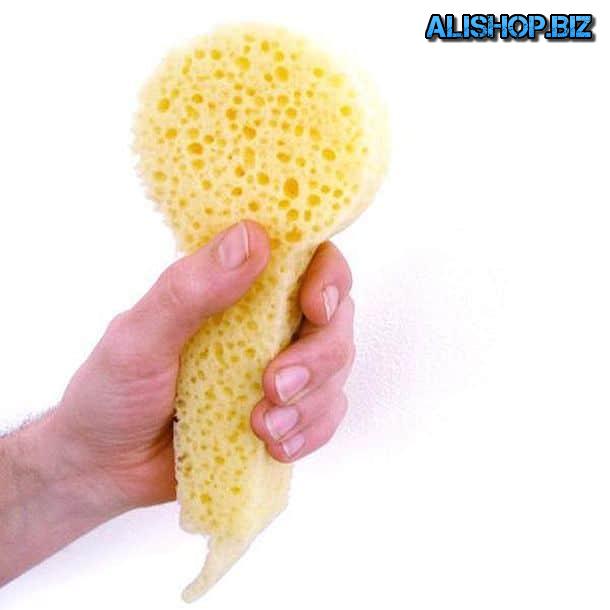 Губка для любителей петь в душе Shower Sponge Microphone